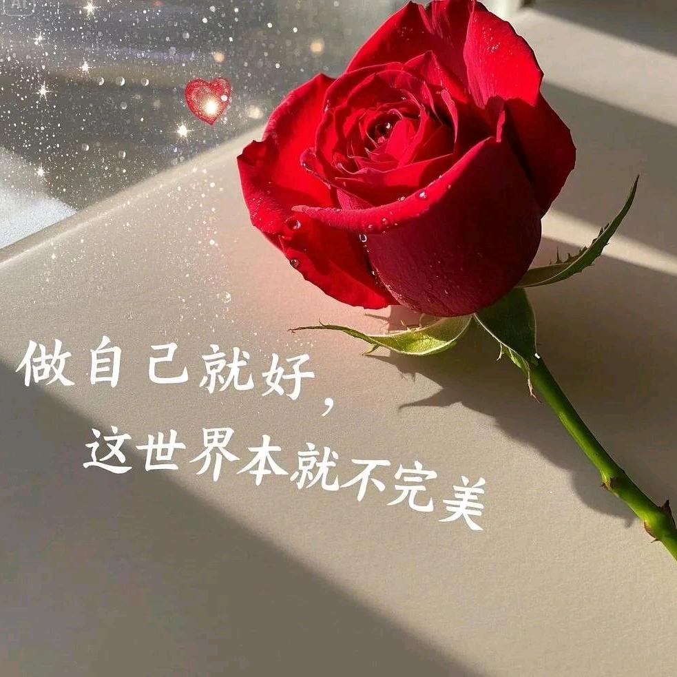 苏沫