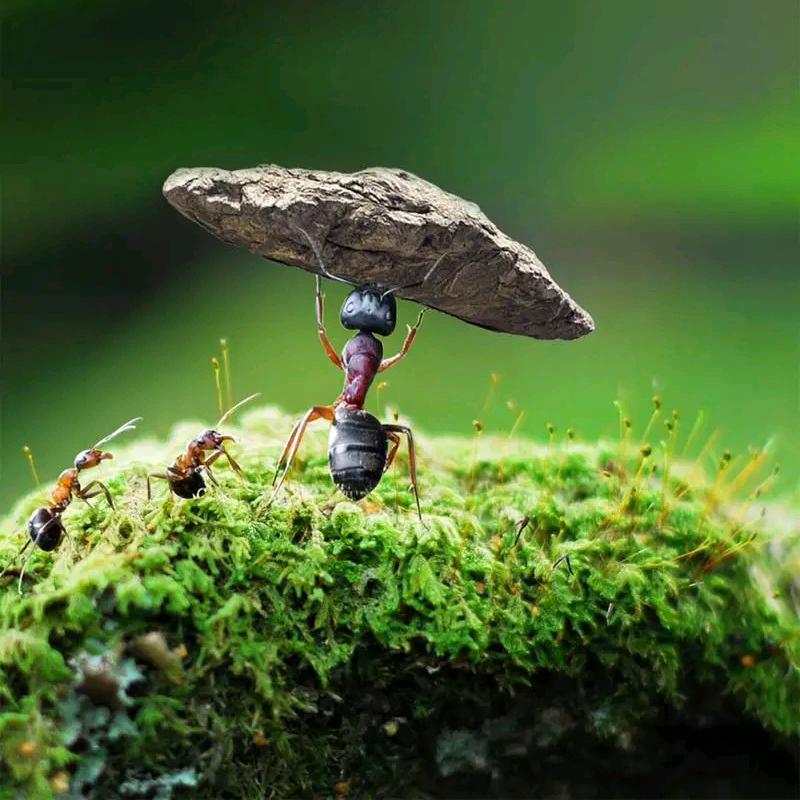 未来可期😘指日可待