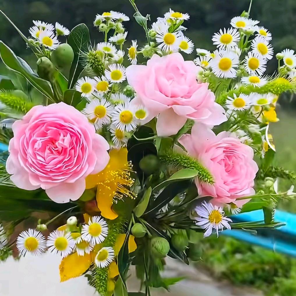 涵涵妈妈