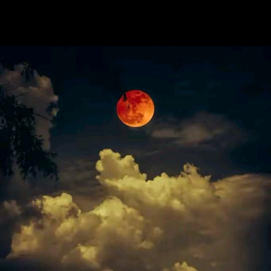 ࿐ཞི་བདེ༎