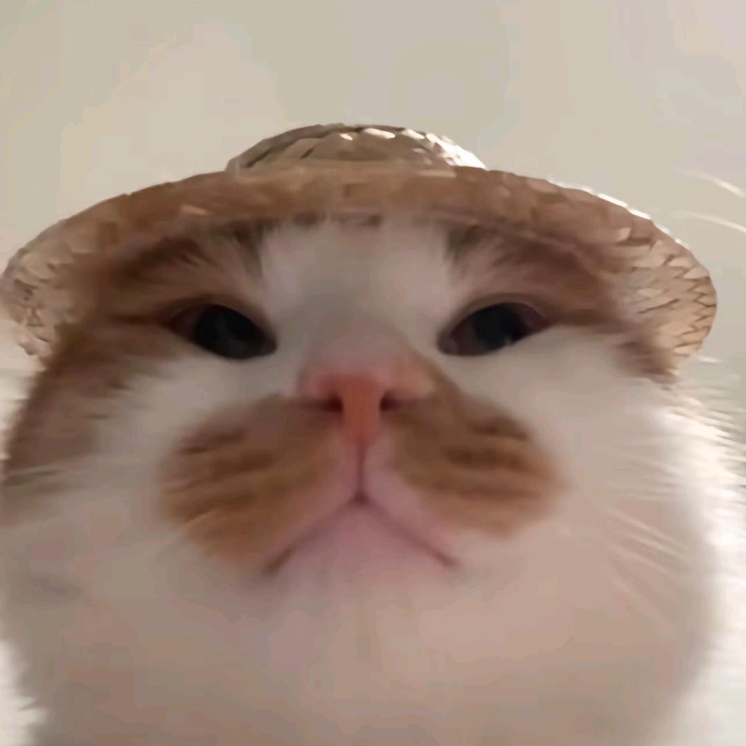 东海蟹黄