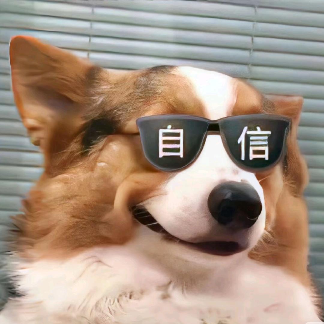 满山的猴我腚最绿.