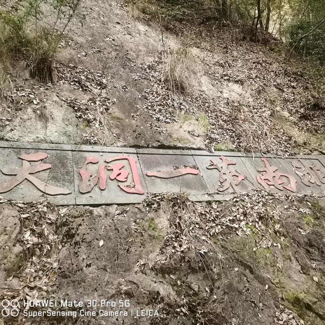 为何随风