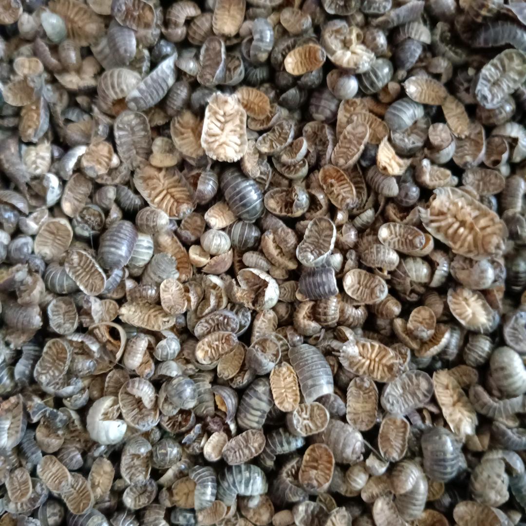 风雷百货生活坊