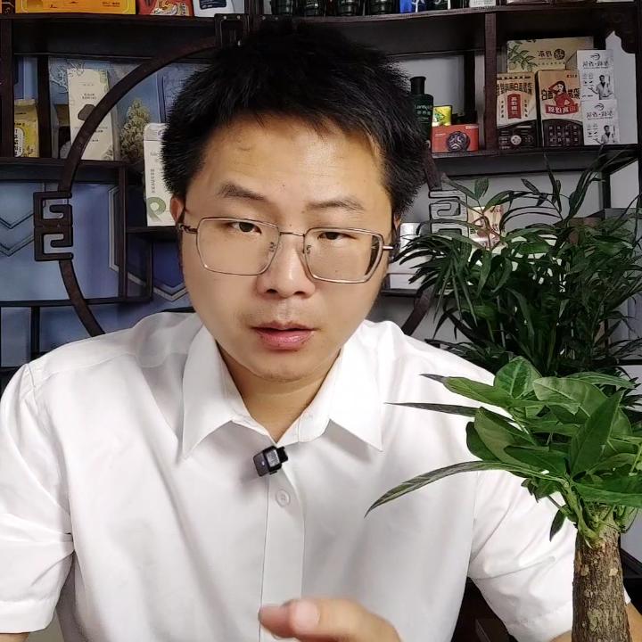 小杨哥自媒