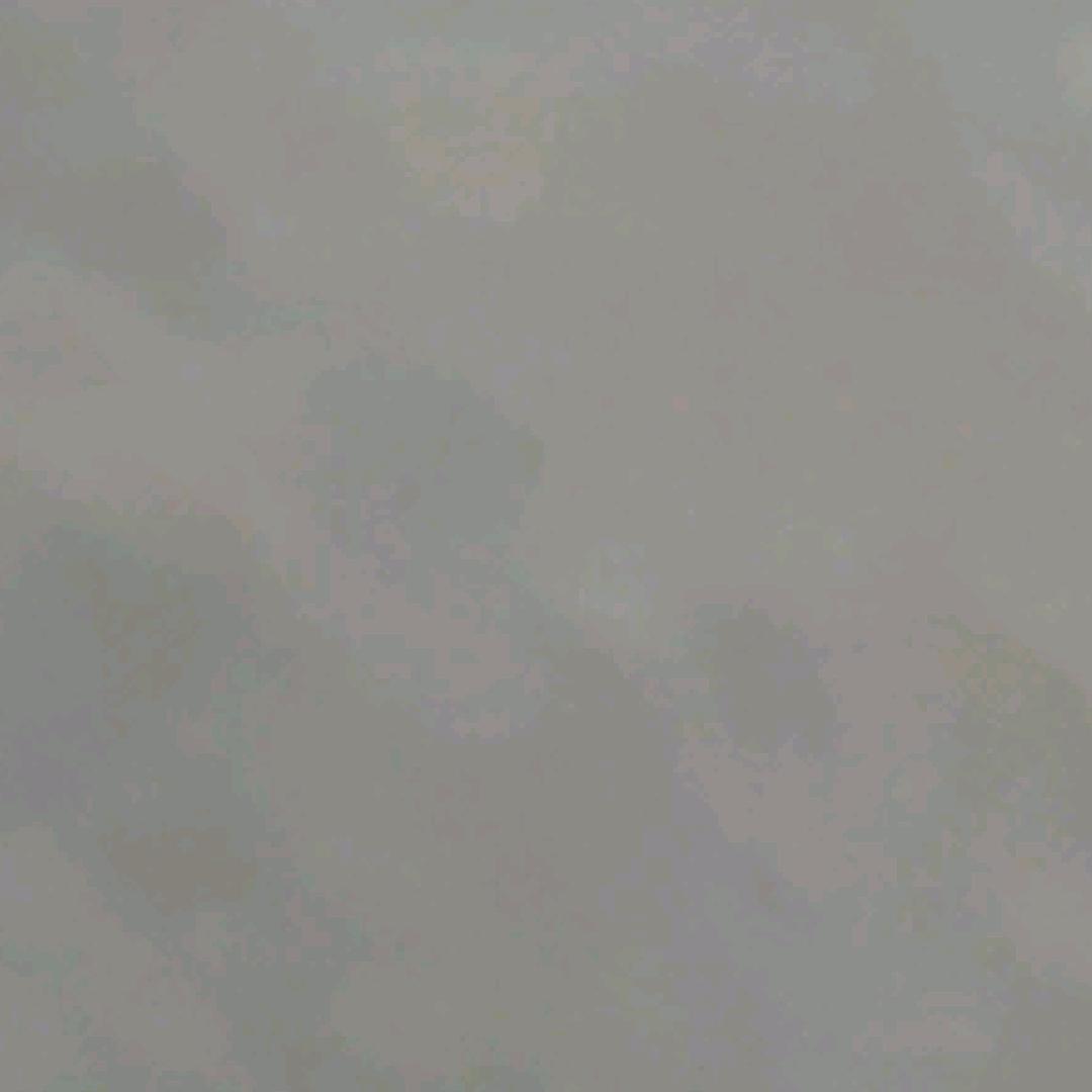 陈保金