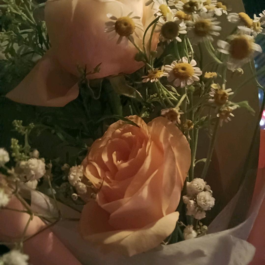 小宁同学（有关必回）