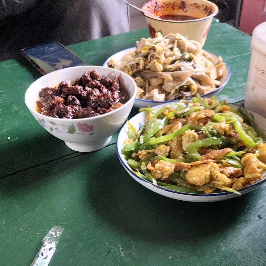 韩江，月飞