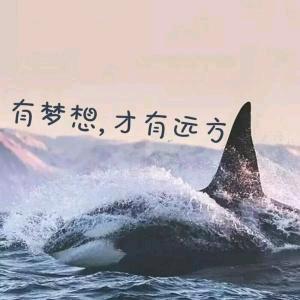 老镱讲底层逻辑