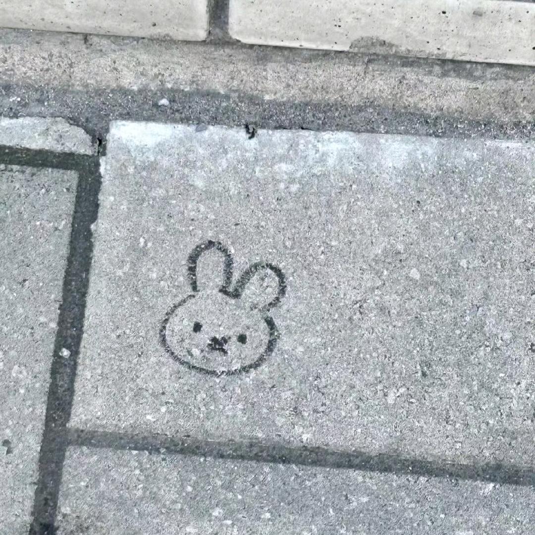 雾霜霜
