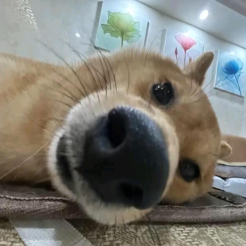 惋