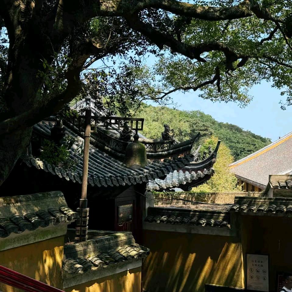 和发顺