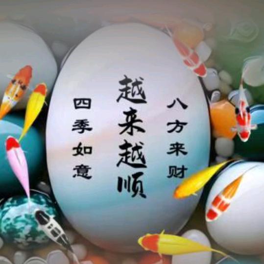 飞燕