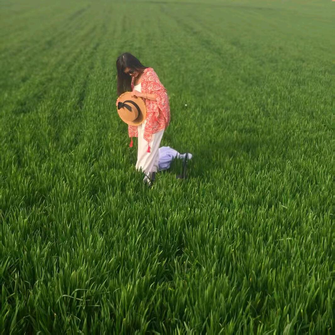 慧慧