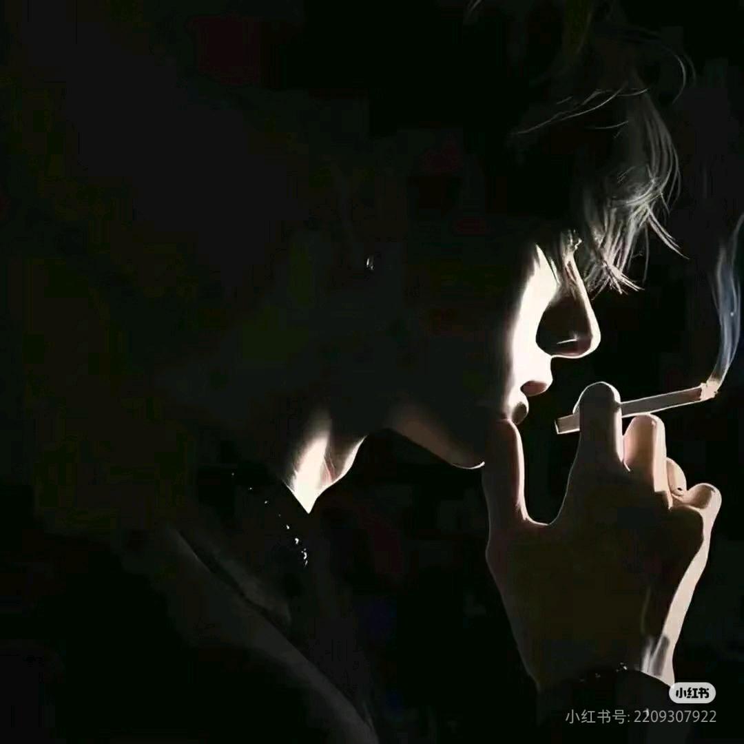 🇨🇳（河南登封）《杜教练(｡◝ᴗ◜｡