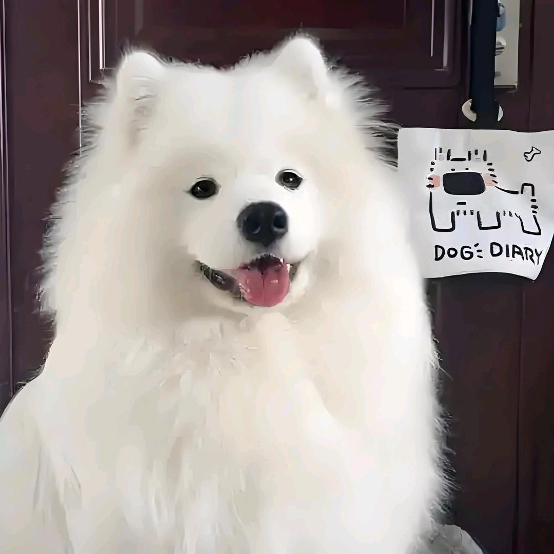 永远