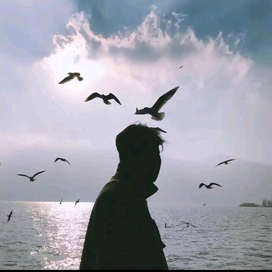 想有和你的盛夏