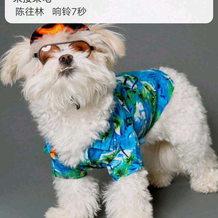 ：梦中有你，