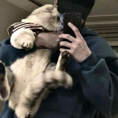 穆七