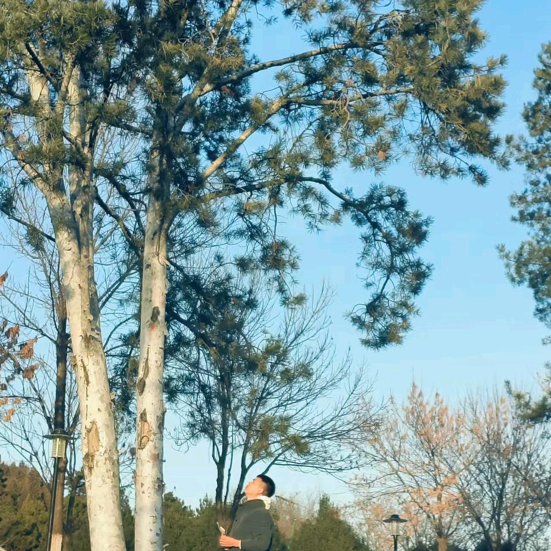 晴～天