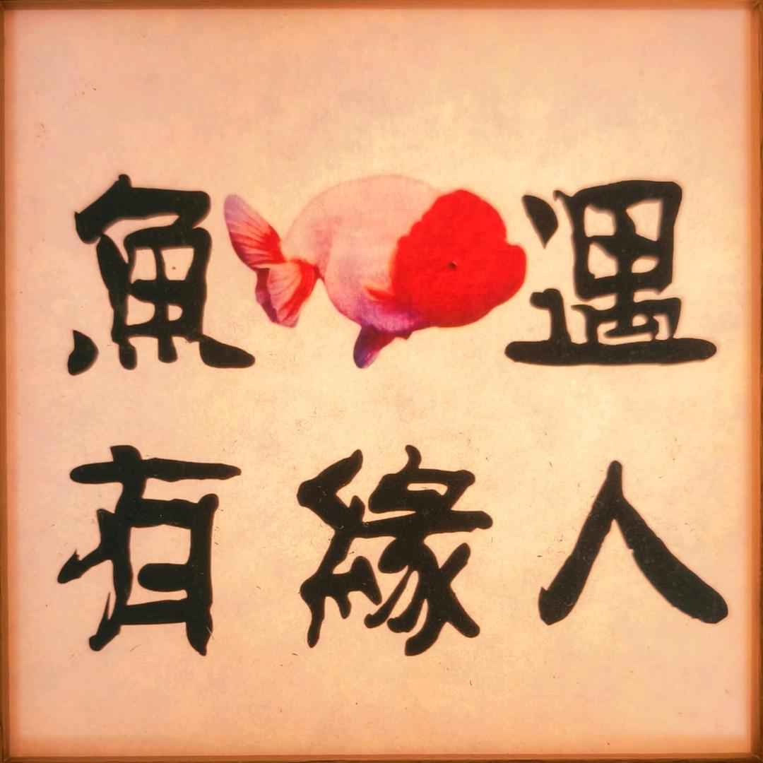 鱼遇有缘人