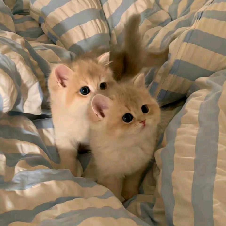 每天都说早点睡