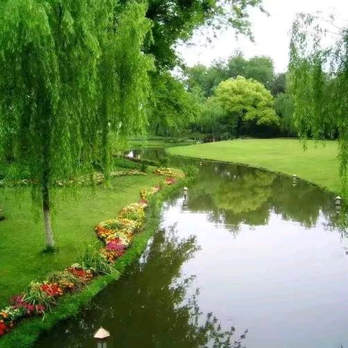 《❁手握风云❁》