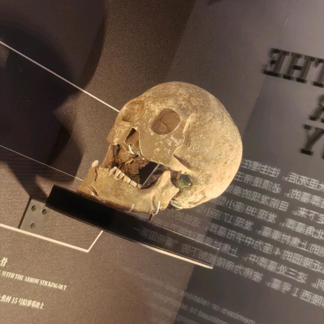 大坏·蛋