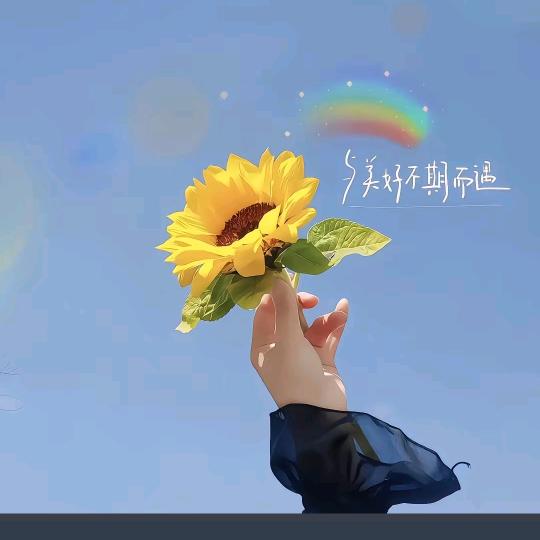与美好不期而遇