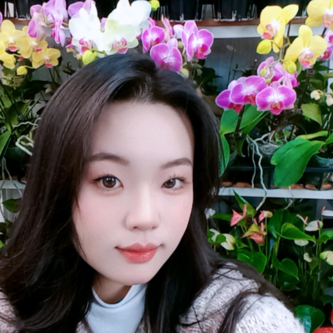 一束春天鲜花优选