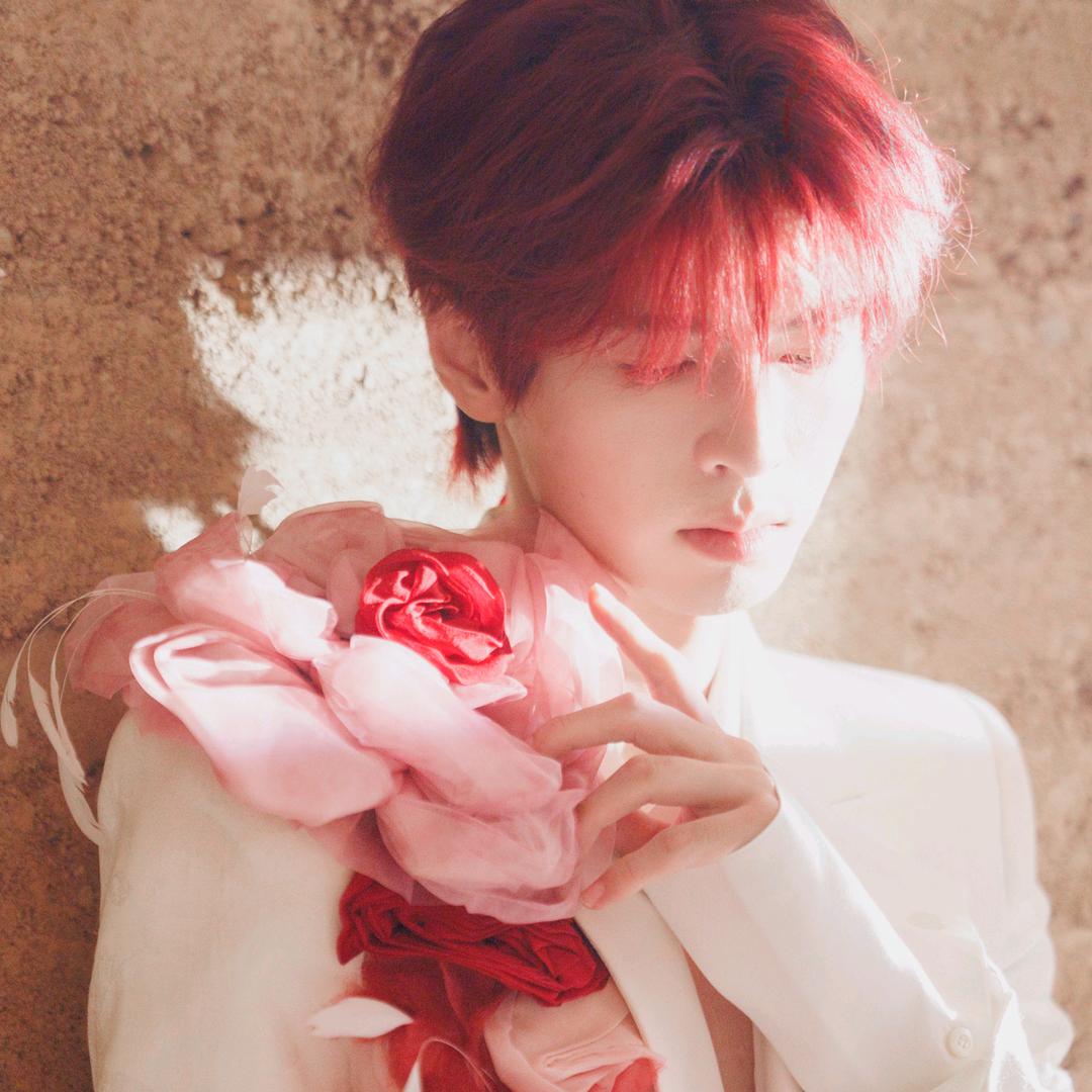 滿天星（见过蒲黄版）