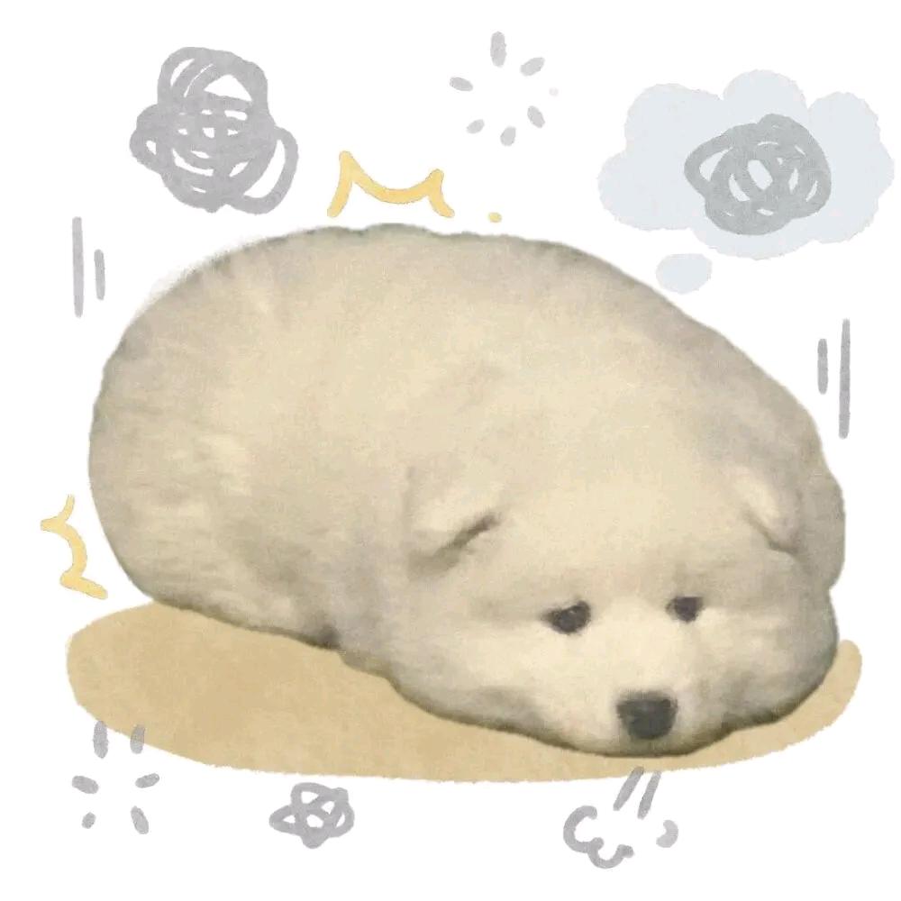 爱自己