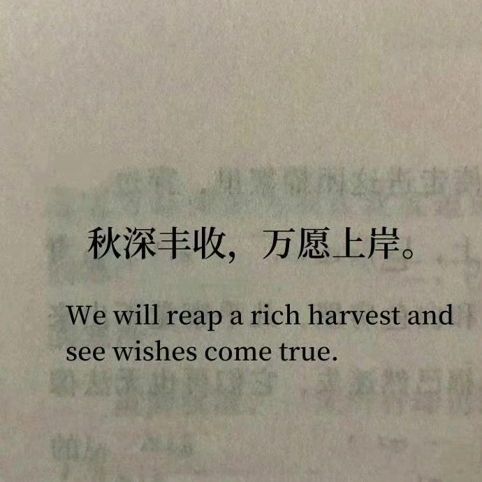 小小老子
