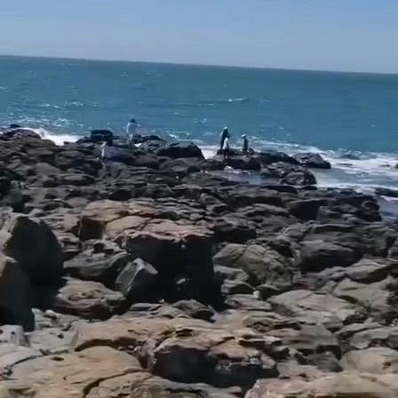 🚬᭄浪迹ঞৣঁ天涯᭄