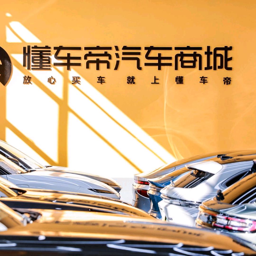 懂车帝二手车（特惠专场）
