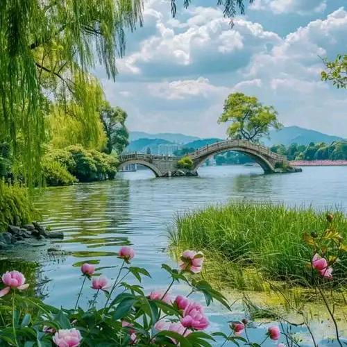 与美好不期而遇