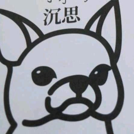 波哥的鸟
