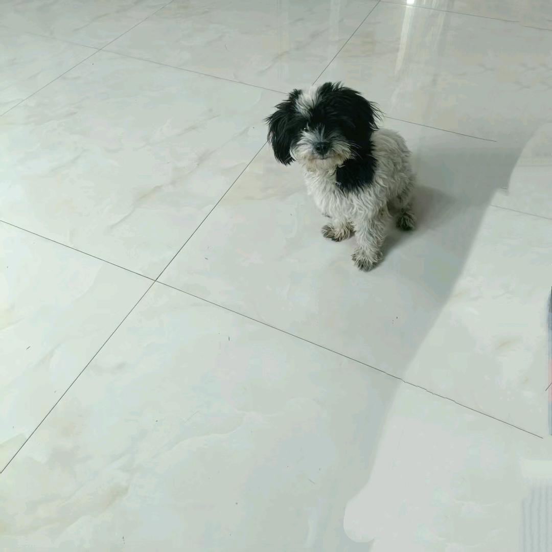 如果没有~如果