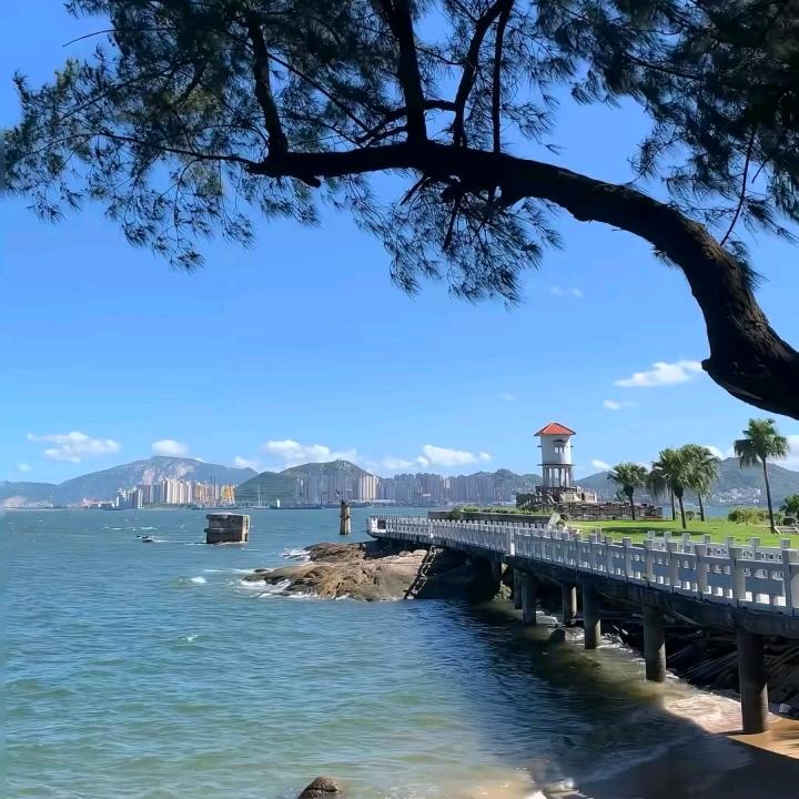 小狗碴子