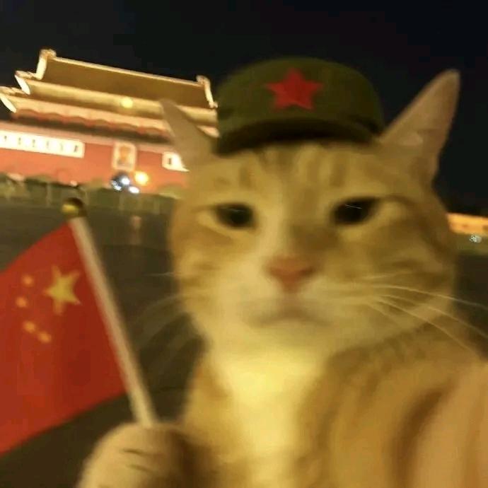 乌鸦坐飞机