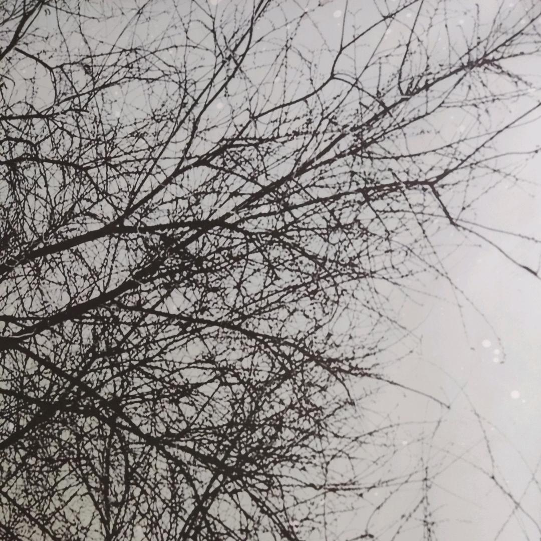 桑夏