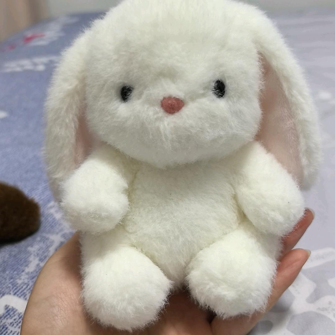 雪球儿