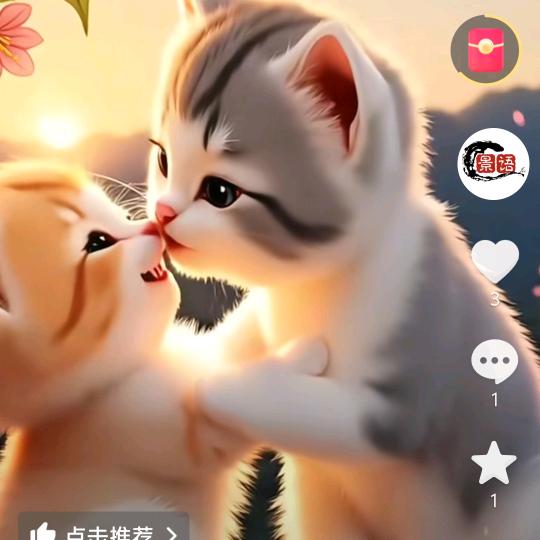 离不开的小情猫