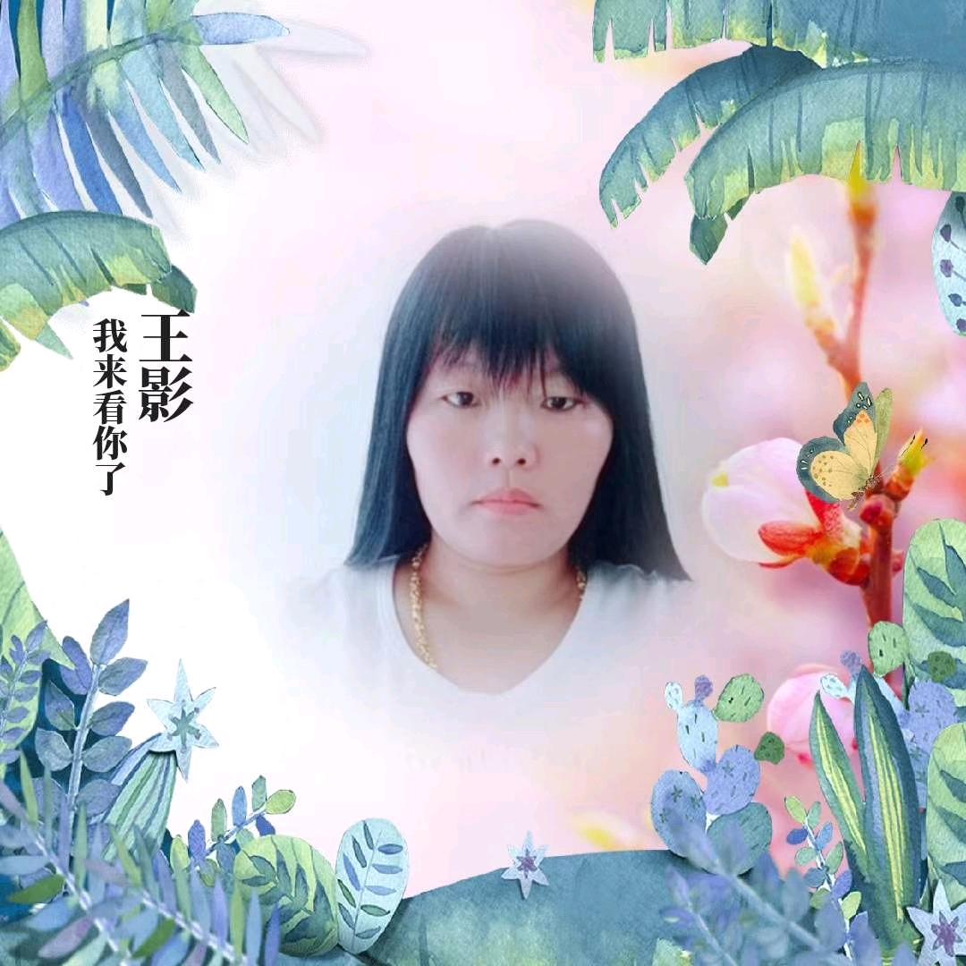 王影快板