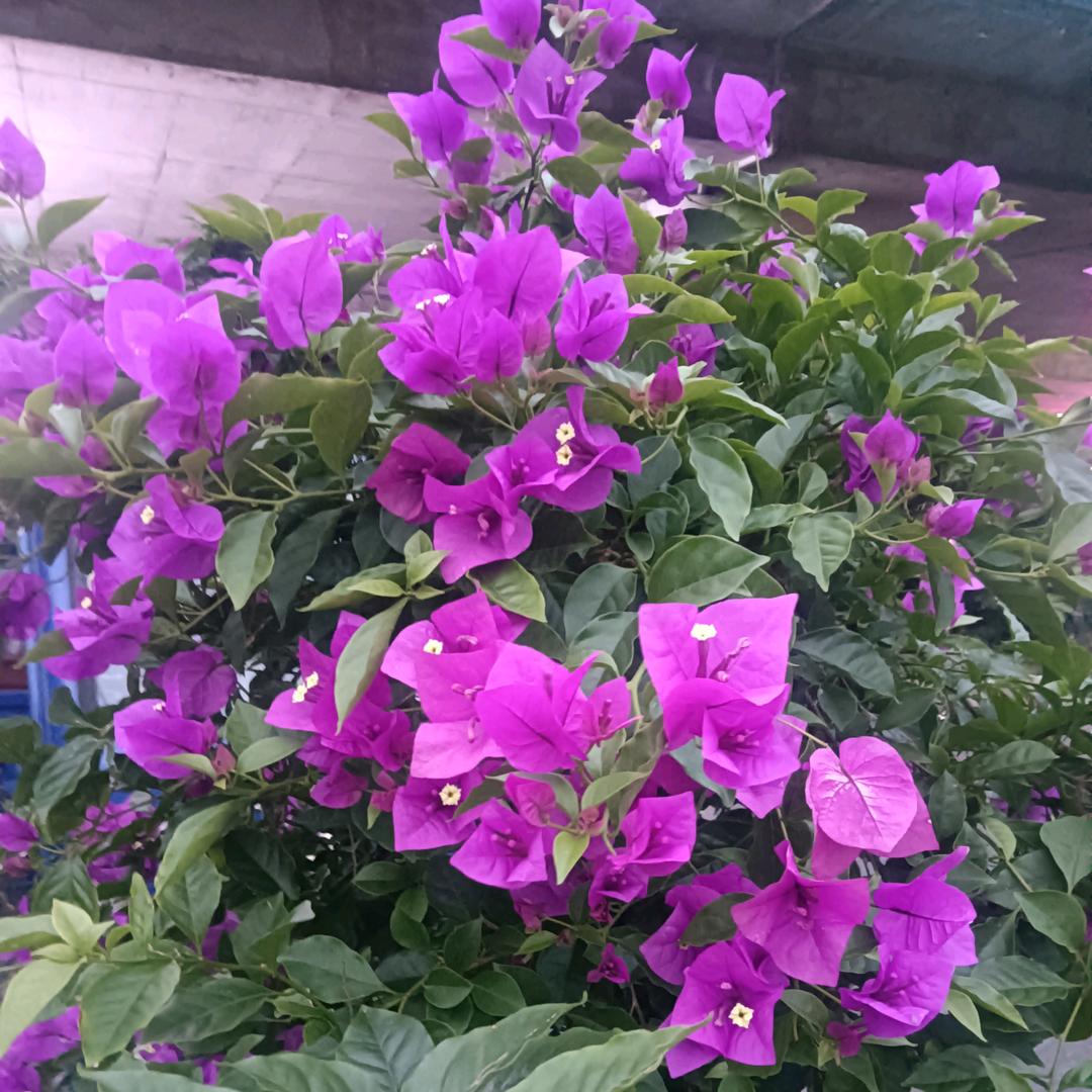有缘来相会