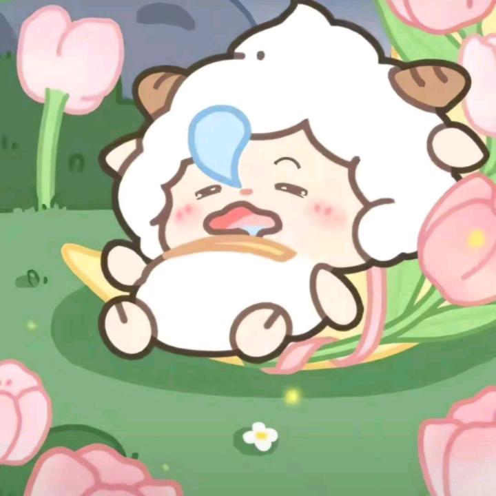 🐬快乐开心果🐿