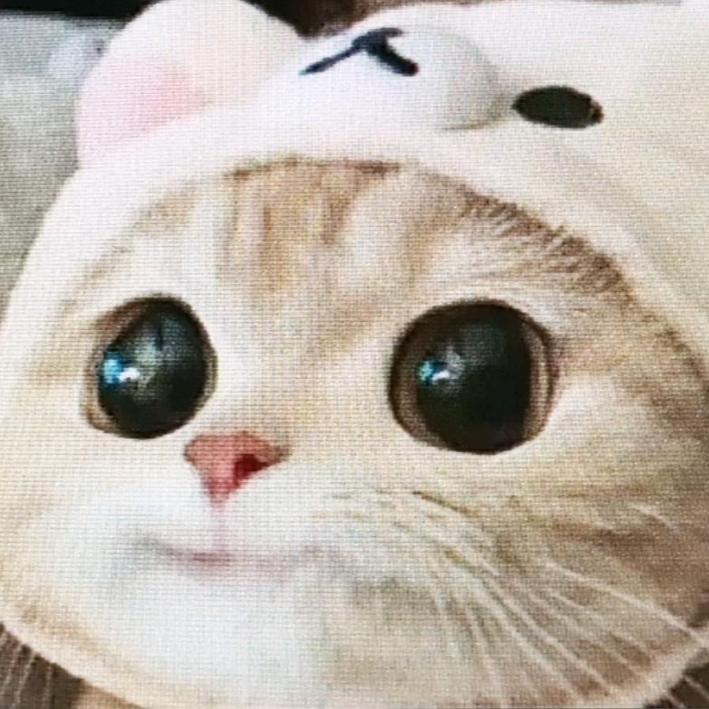 笨笨