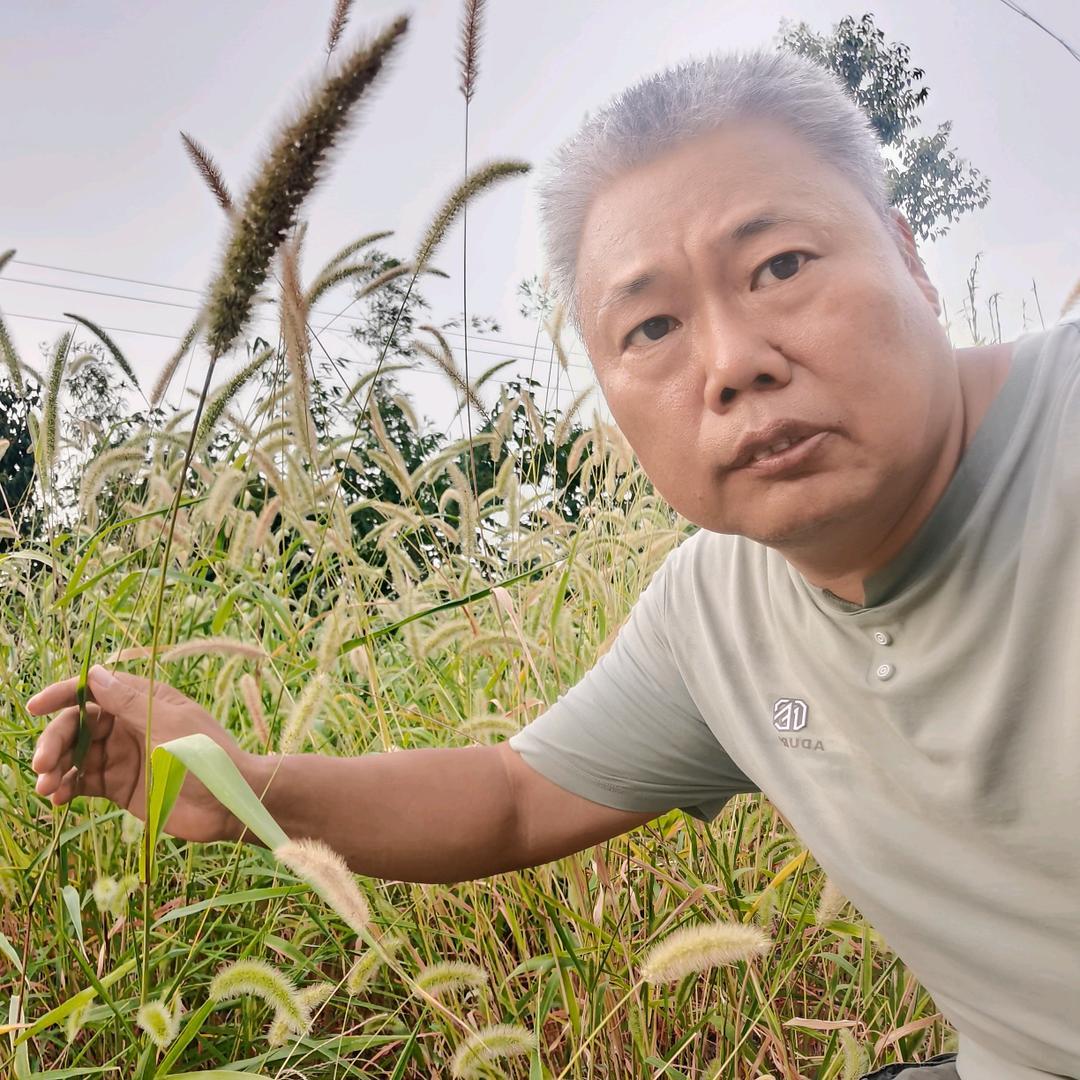 烽烟三农