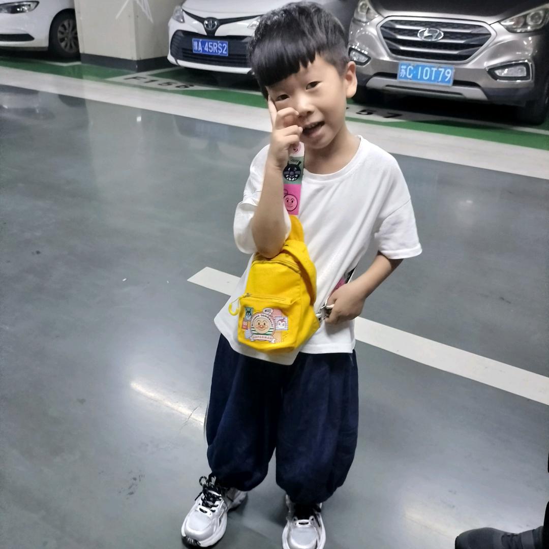 双子星辉
