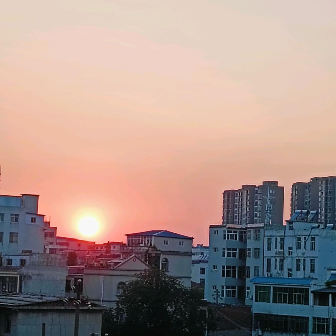 光羽